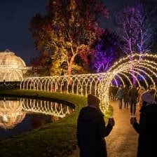 Christmas light trail glowing through Kew Gardens at night